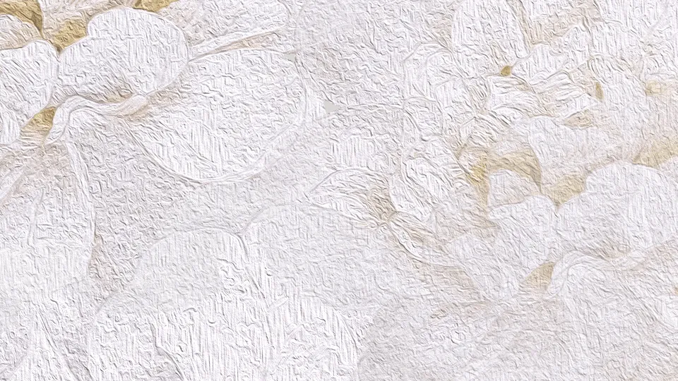 蕾丝 · 织物细节